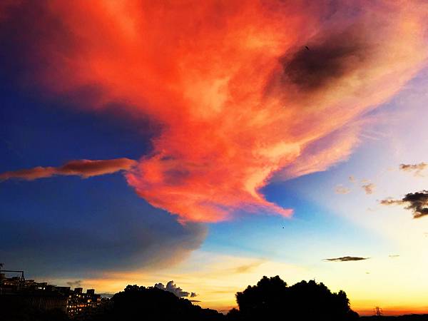 01-1IMG_0606.JPG 01-1IMG_0606.JPG