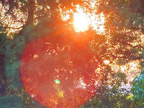 01-3IMG_9376.JPG 01-3IMG_9376.JPG