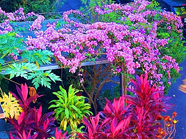 福報讓生活安樂,智慧讓心靈富足,優化智慧價值觀,智慧財富大豐