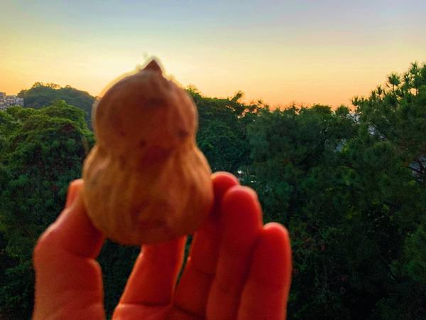 能量地瓜像葫蘆，化煞神器增福祿，種有機薯香氣足，聞到天香遍山