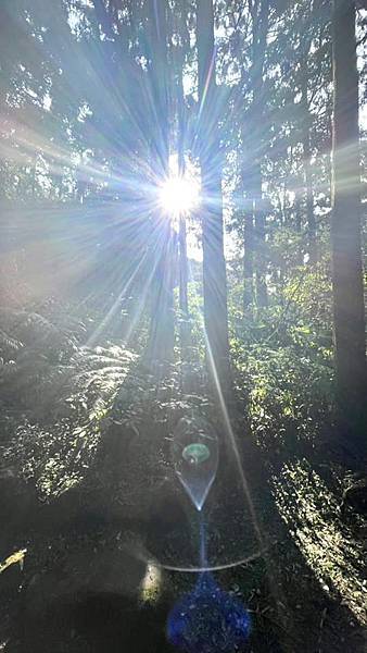虛空宇宙無盡處,原氣玄炁與空氣,一人一種空見性,明覺心與見性 虛空宇宙無盡處,原氣玄炁與空氣,一人一種空見性,明覺心與見性