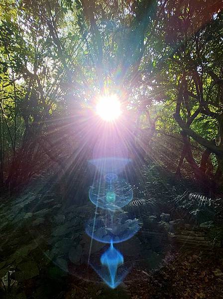 虛空宇宙無盡處,原氣玄炁與空氣,一人一種空見性,明覺心與見性 虛空宇宙無盡處,原氣玄炁與空氣,一人一種空見性,明覺心與見性