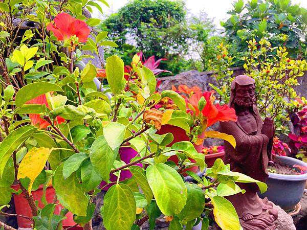 快速提升內在能量調頻術振動頻率的13種方法❤心決定身體能量, 快速提升內在能量調頻術振動頻率的13種方法❤心決定身體能量,