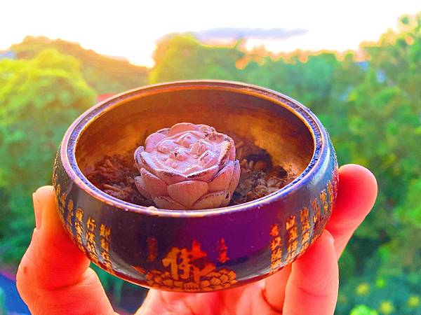 聚集福德資糧最快速有效方法功德價值 聚集福德資糧最快速有效方法功德價值