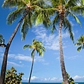 Hawaii2-2.jpg