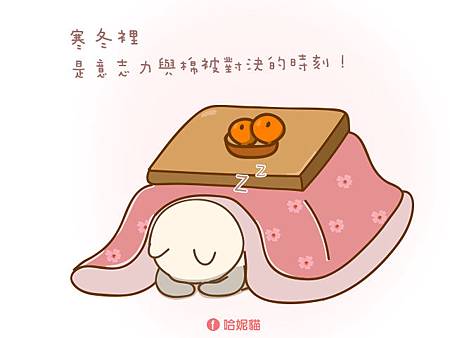 01.jpg 01.jpg