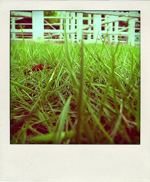 R0123060-pola.jpg R0123060-pola.jpg