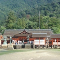 站在大鳥居旁拍嚴島神社3