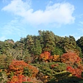 銀閣寺山景