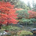 銀閣寺前庭園造景