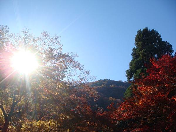 天氣很棒