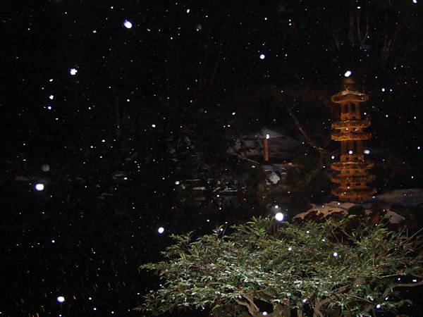 夜中雪