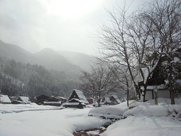雪中村