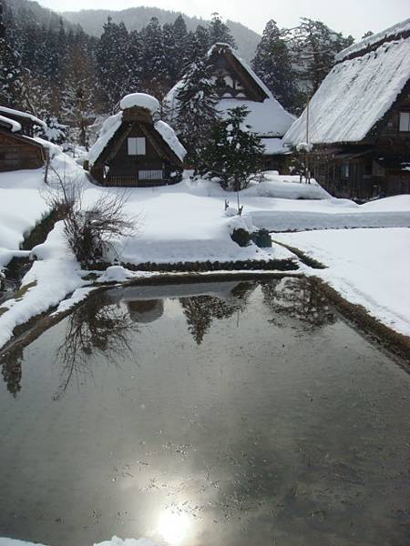 水中一輪明日