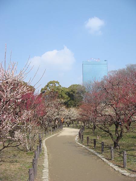 梅花步道