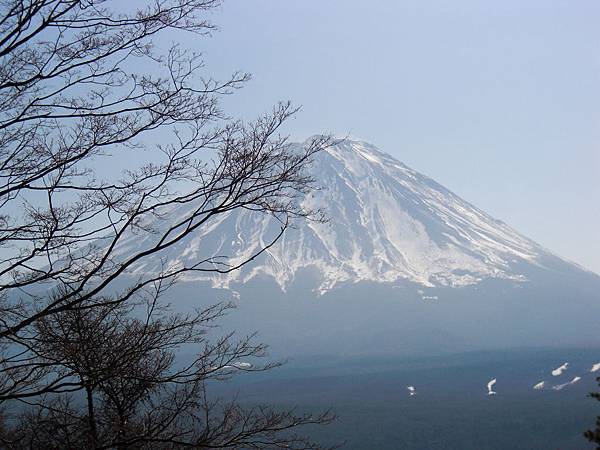 20140128紅葉台眺望富士山2.JPG