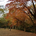2013-12-06 15.29.45.jpg