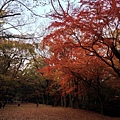 2013-12-06 16.18.50 HDR_1.jpg