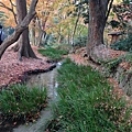 2013-12-06 16.19.36 HDR.jpg