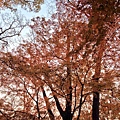2013-12-06 16.20.10 HDR_1.jpg