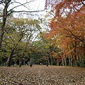 2013-12-06 15.33.38.jpg