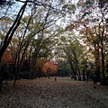 2013-12-06 16.08.36 HDR_1.jpg