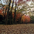 2013-12-06 16.09.15 HDR_1.jpg