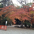 2013-12-06 16.02.38.jpg