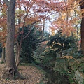 2013-12-06 16.10.37 HDR.jpg