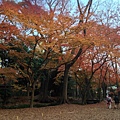 2013-12-06 16.11.16 HDR.jpg
