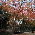 2013-12-06 16.12.20 HDR.jpg
