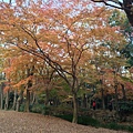 2013-12-06 16.12.42 HDR.jpg