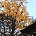 2013-12-06 16.17.23 HDR.jpg