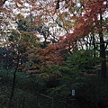 2013-12-06 16.20.30 HDR.jpg