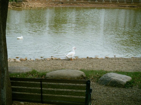 都會公園