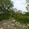 DSCN0087.jpg