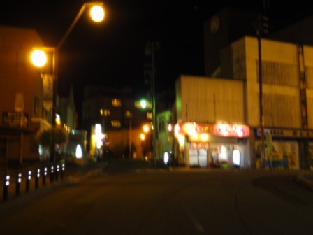 洞爺湖温泉街夜晚的街景.jpg