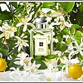 Jo Malone Orange Blossom Cologne Image