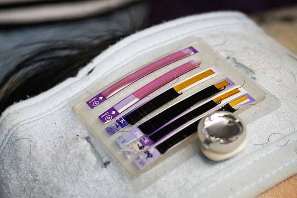 DSC06204.JPG DSC06204.JPG