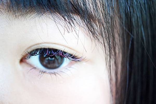 DSC06277.JPG DSC06277.JPG