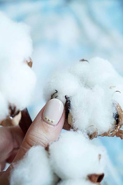 DSC02608-1.jpg DSC02608-1.jpg