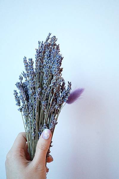 DSC00911.JPG DSC00911.JPG