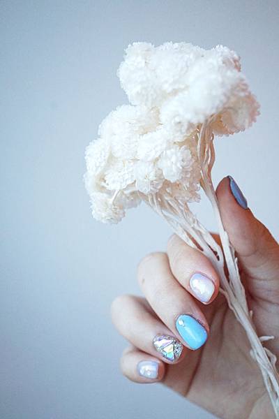 DSC00979-1.jpg DSC00979-1.jpg