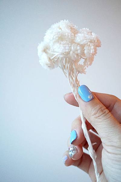 DSC00998-1.jpg DSC00998-1.jpg