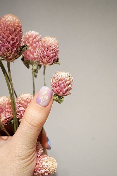 DSC01073-1.jpg DSC01073-1.jpg