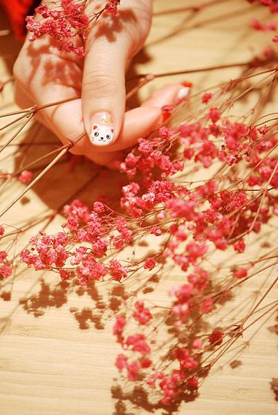 DSC_5532.JPG DSC_5532.JPG