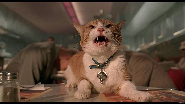 орион.jpg орион.jpg