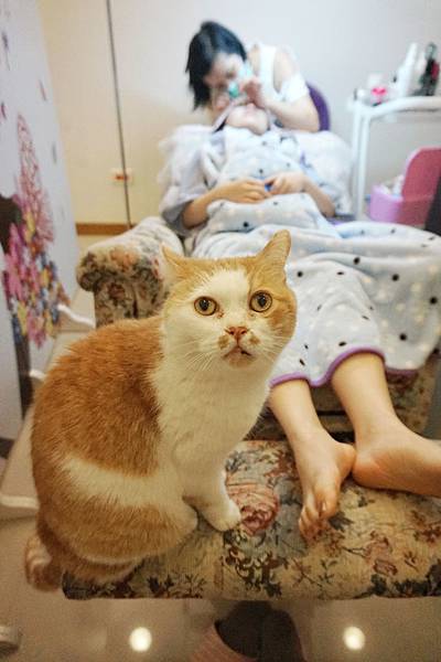 SONY_ILCE-5000_8147542-81692761507.JPG SONY_ILCE-5000_8147542-81692761507.JPG