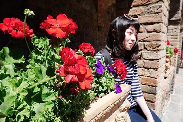 DSC01331-1.jpg DSC01331-1.jpg