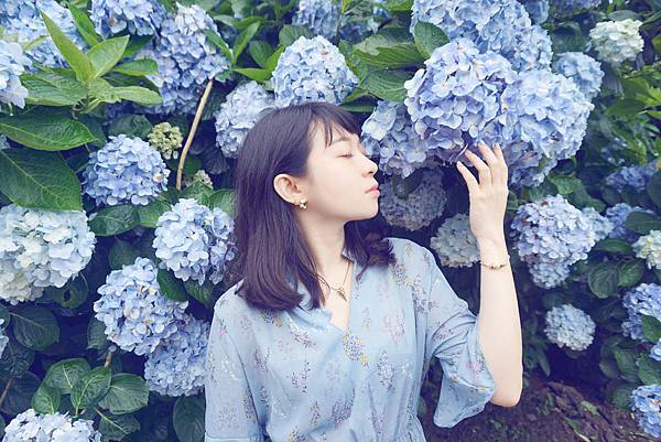 DSC06559-1.jpg DSC06559-1.jpg